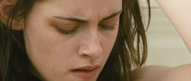 Into The Wild 2007 DVDRip x264 NhaNc3 preview 6