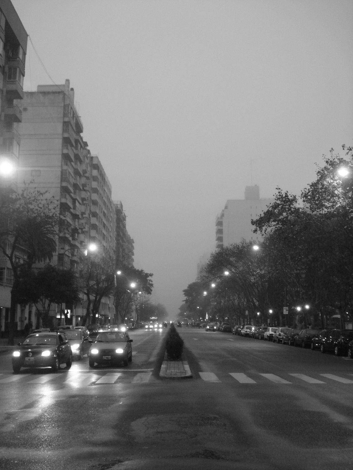 fotos fotos