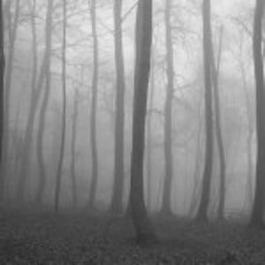 El Hombre Delgado : La leyenda de Slender man! El Hombre Delgado : La leyenda de Slender man!