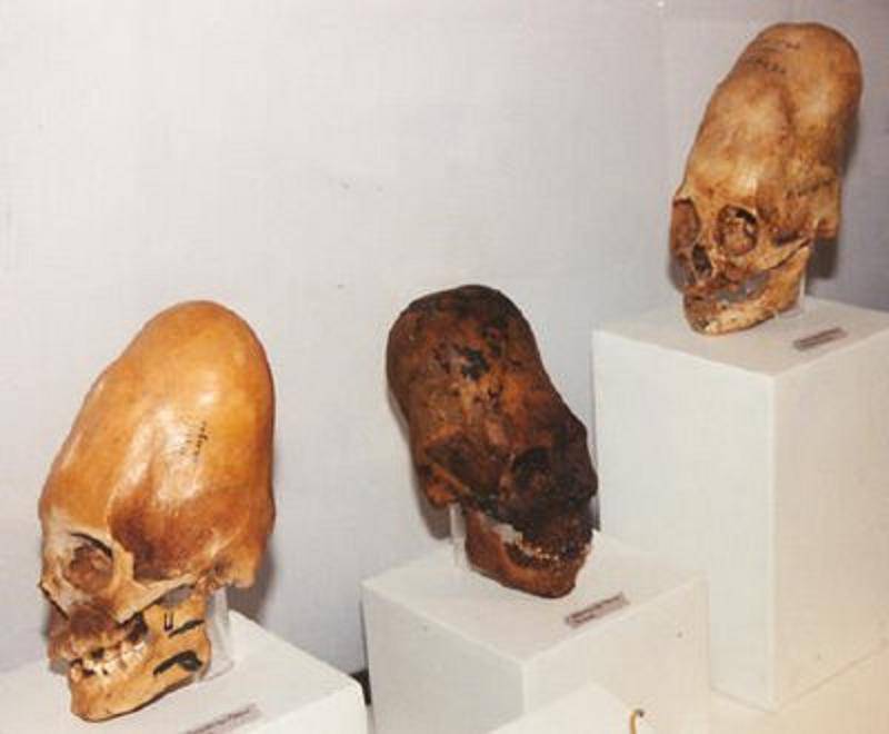 La historia de los Anunnaki La historia de los Anunnaki