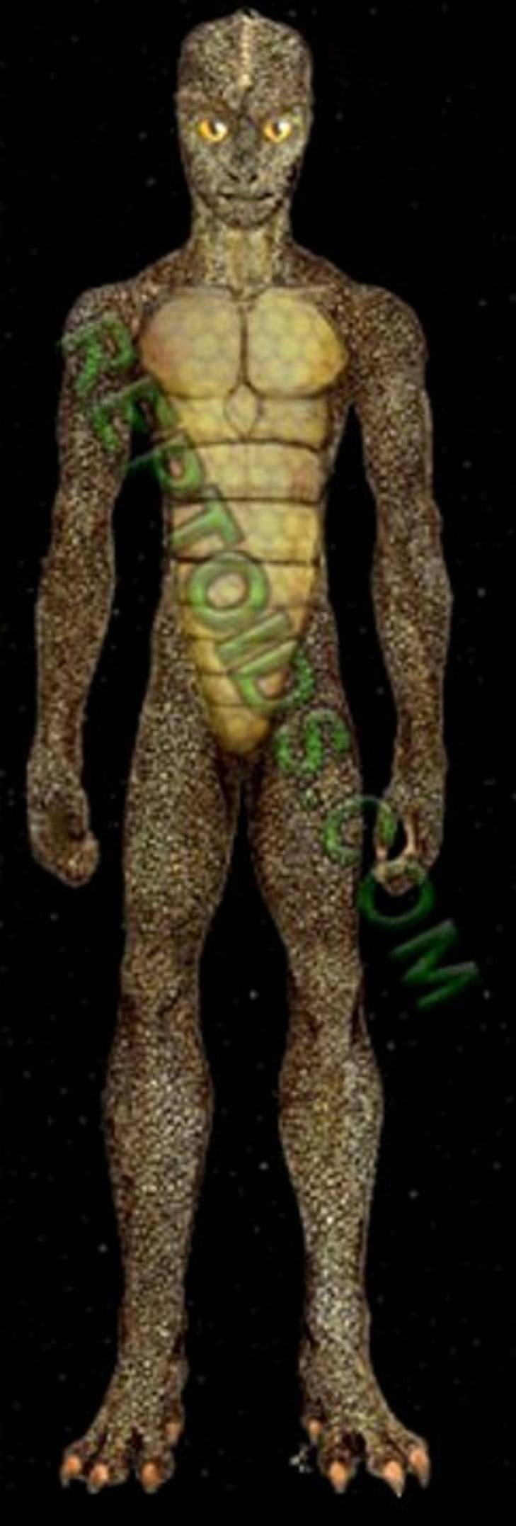 reptilianos reptilianos