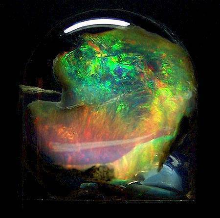microscopio