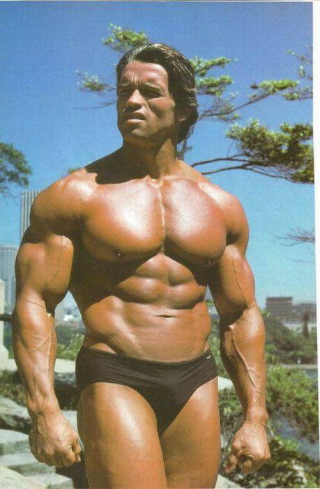 Arnold Schwarzenegger 64