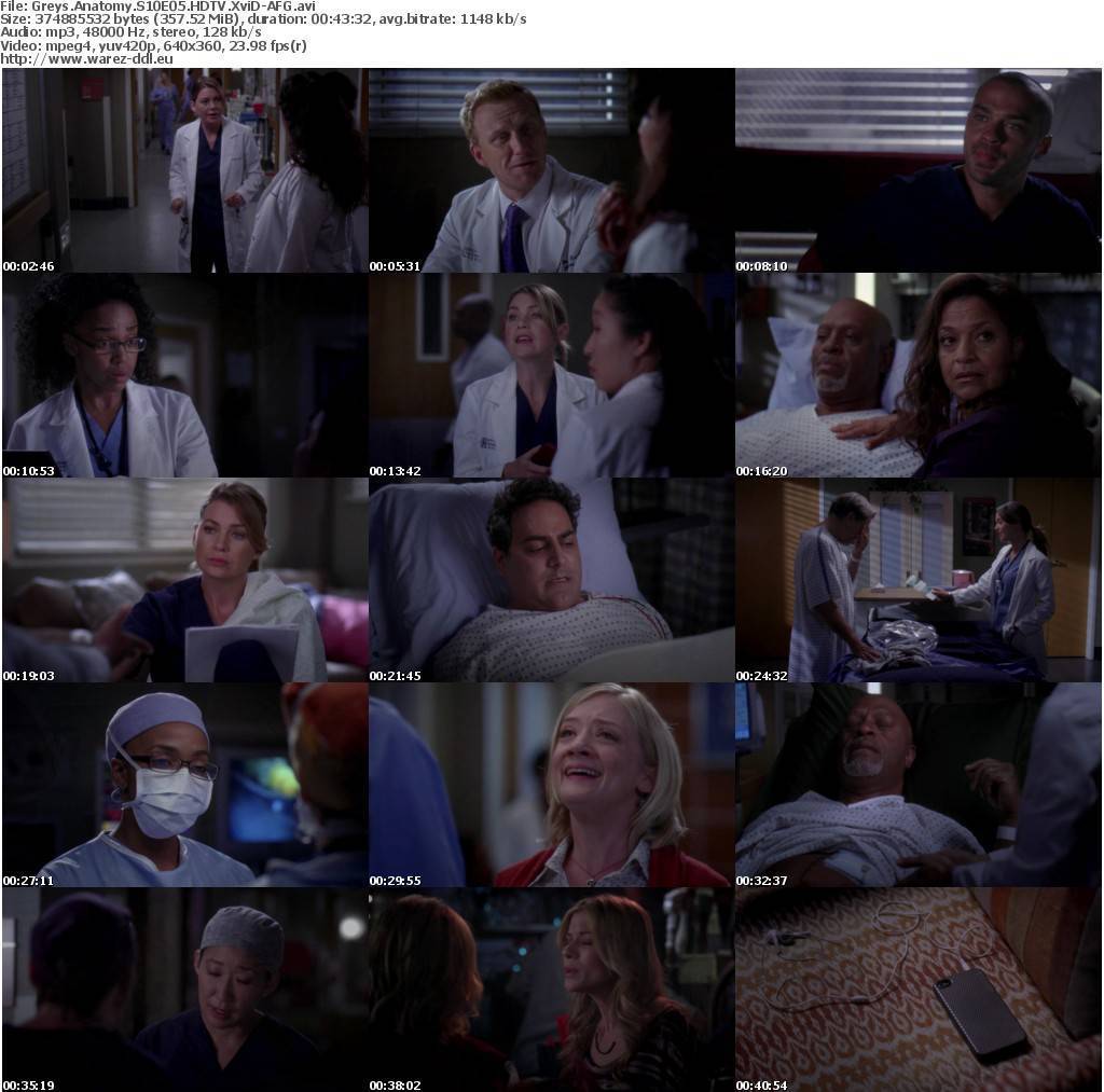 greys anatomy.xvid afg