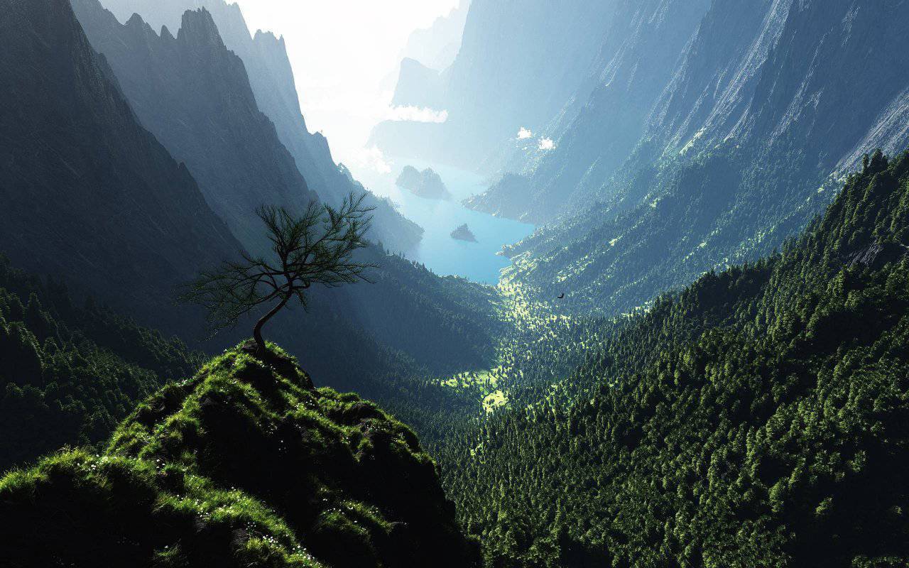 1280x800 Foto pobudka #1006 4
