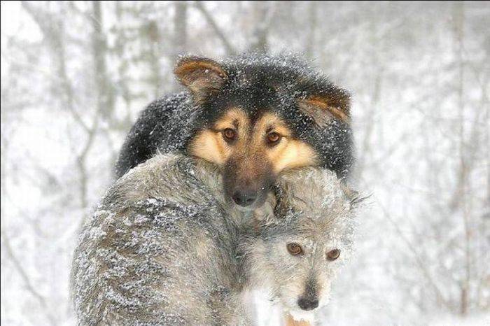 Foto pobudka #389 50