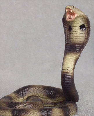 King Cobra.