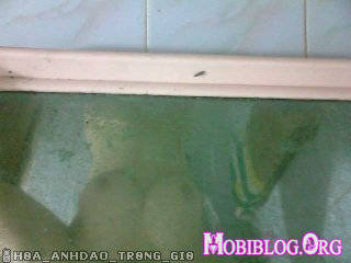 © Mobiblog.Org