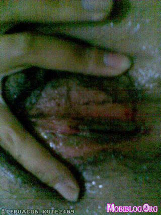 © Mobiblog.Org