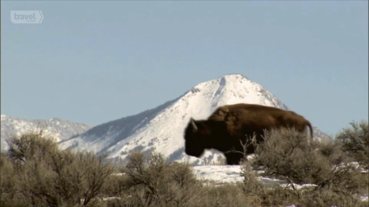 Building Off The Grid S01E05 720p HDTV x264-dotTV Building Off The Grid S01E05 720p HDTV x264-dotTV