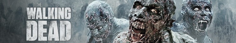 The Walking Dead S08E15 720p HDTV x264-AVS The Walking Dead S08E15 720p HDTV x264-AVS