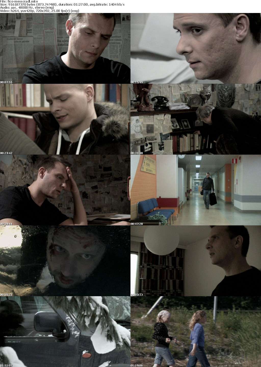 Messenger In The Cradle 2010 DVDRip x264-FiCO Messenger In The Cradle 2010 DVDRip x264-FiCO