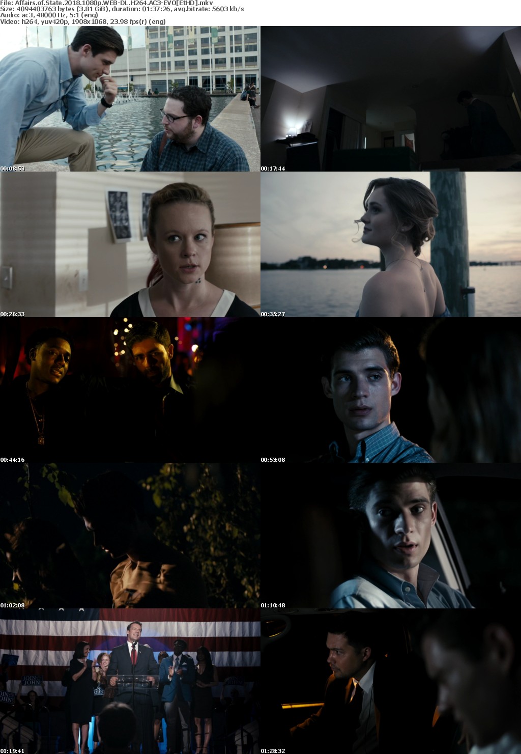 Affairs of State (2018) 1080p WEB-DL H264 AC3-EVO