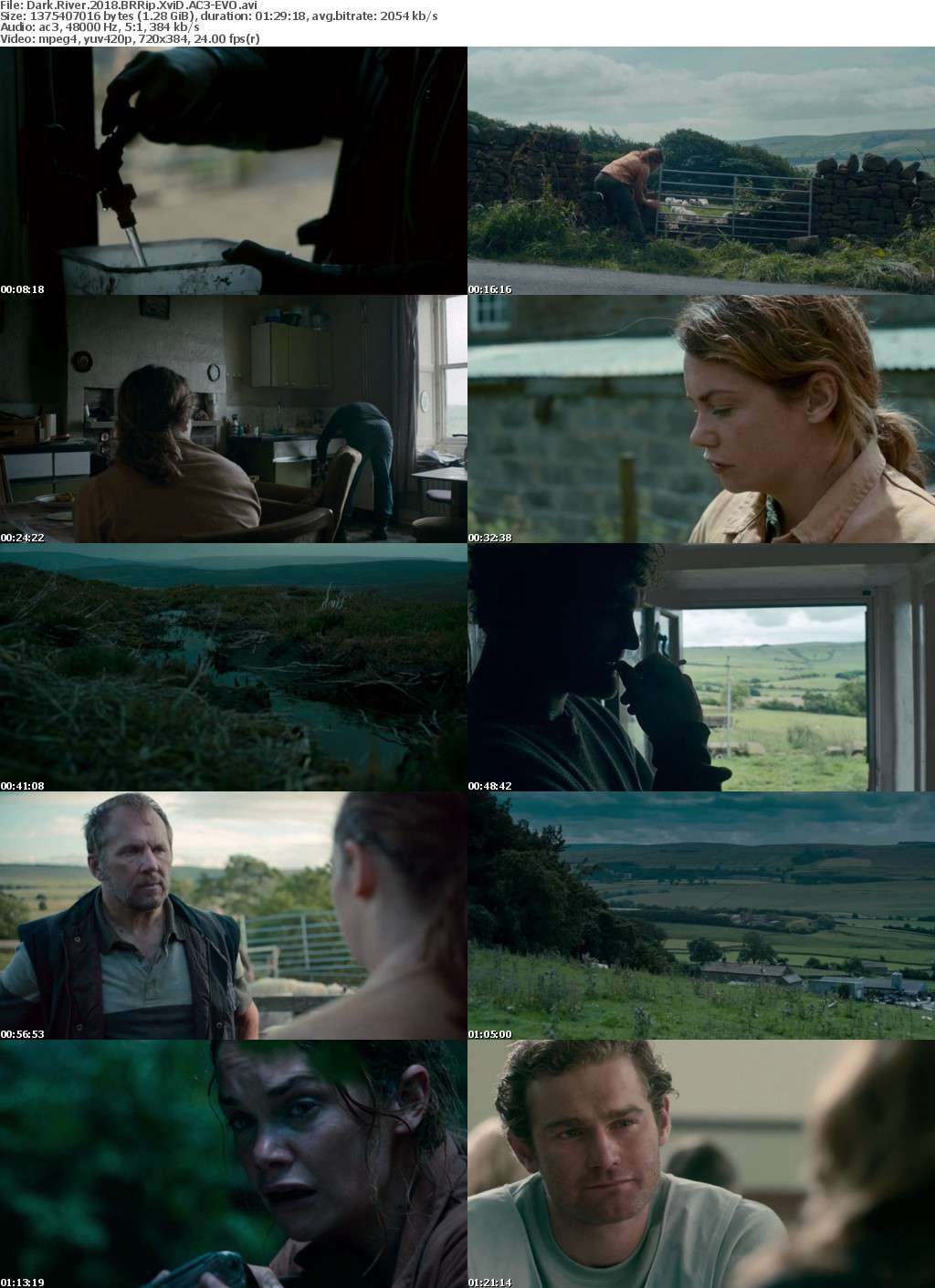 Dark River (2018) BRRip XviD AC3-EVO