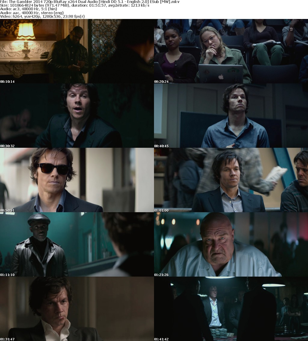 The Gambler (2014) 720p BluRay x264 Dual Audio Hindi DD 5.1 - English 2.0 ESub MW