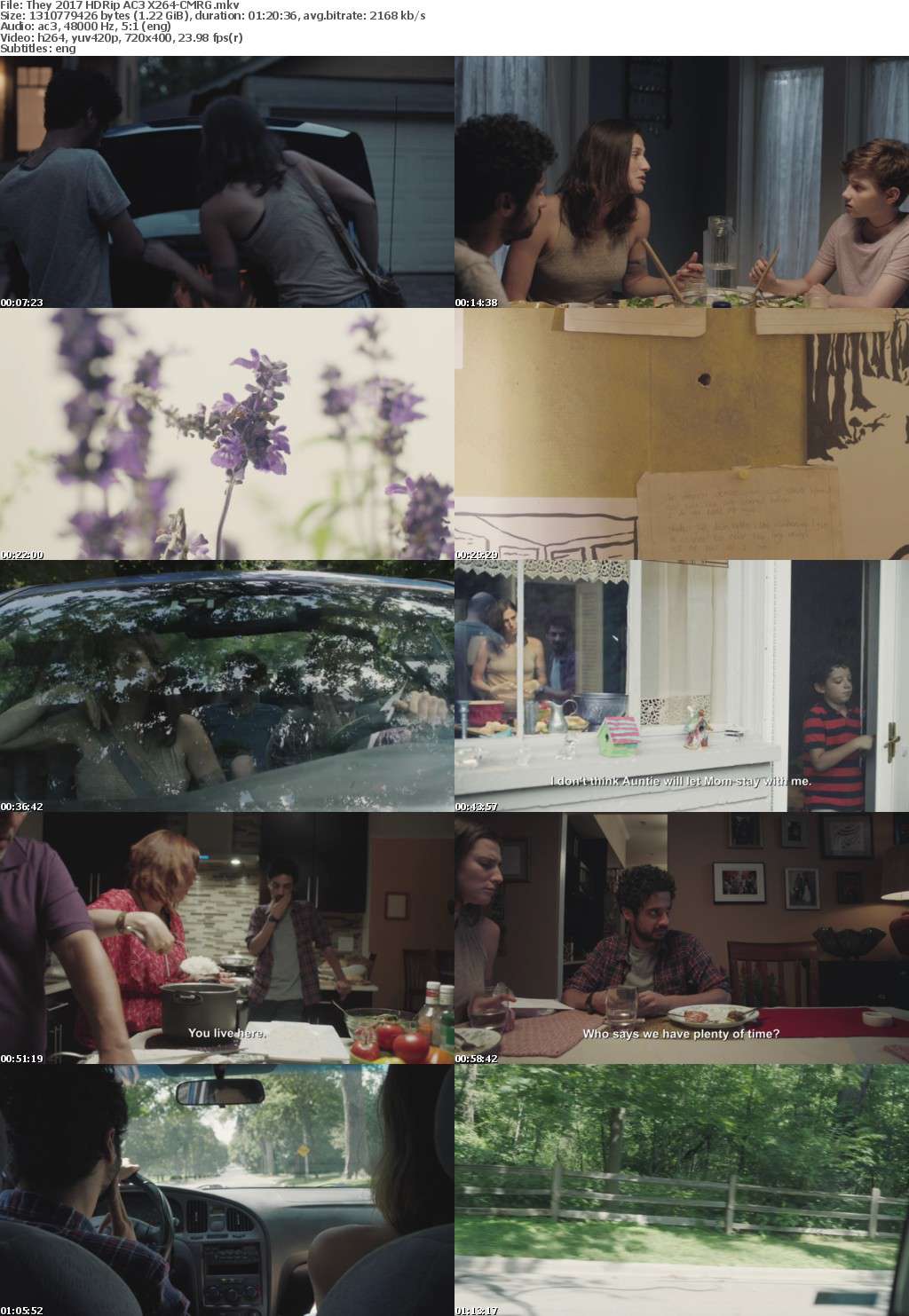 They (2017) HDRip AC3 X264-CMRG