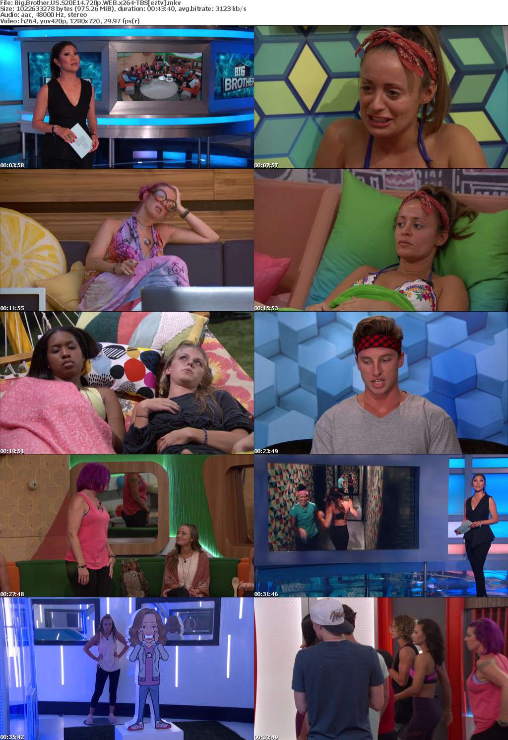 Big Brother US S20E14 720p WEB x264-TBS