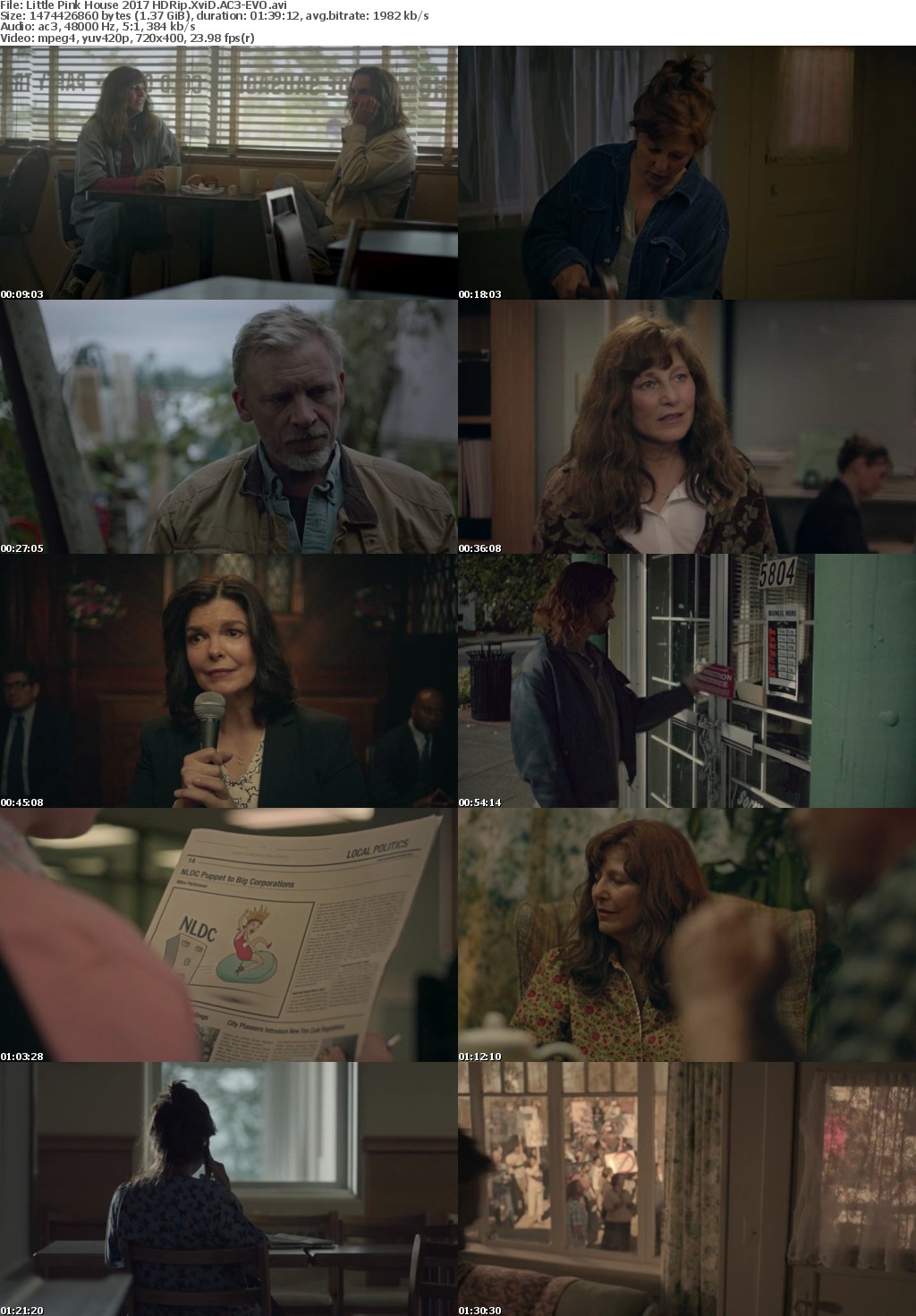 Little Pink House 2017 HDRip XviD AC3-EVO Little Pink House 2017 HDRip XviD AC3-EVO