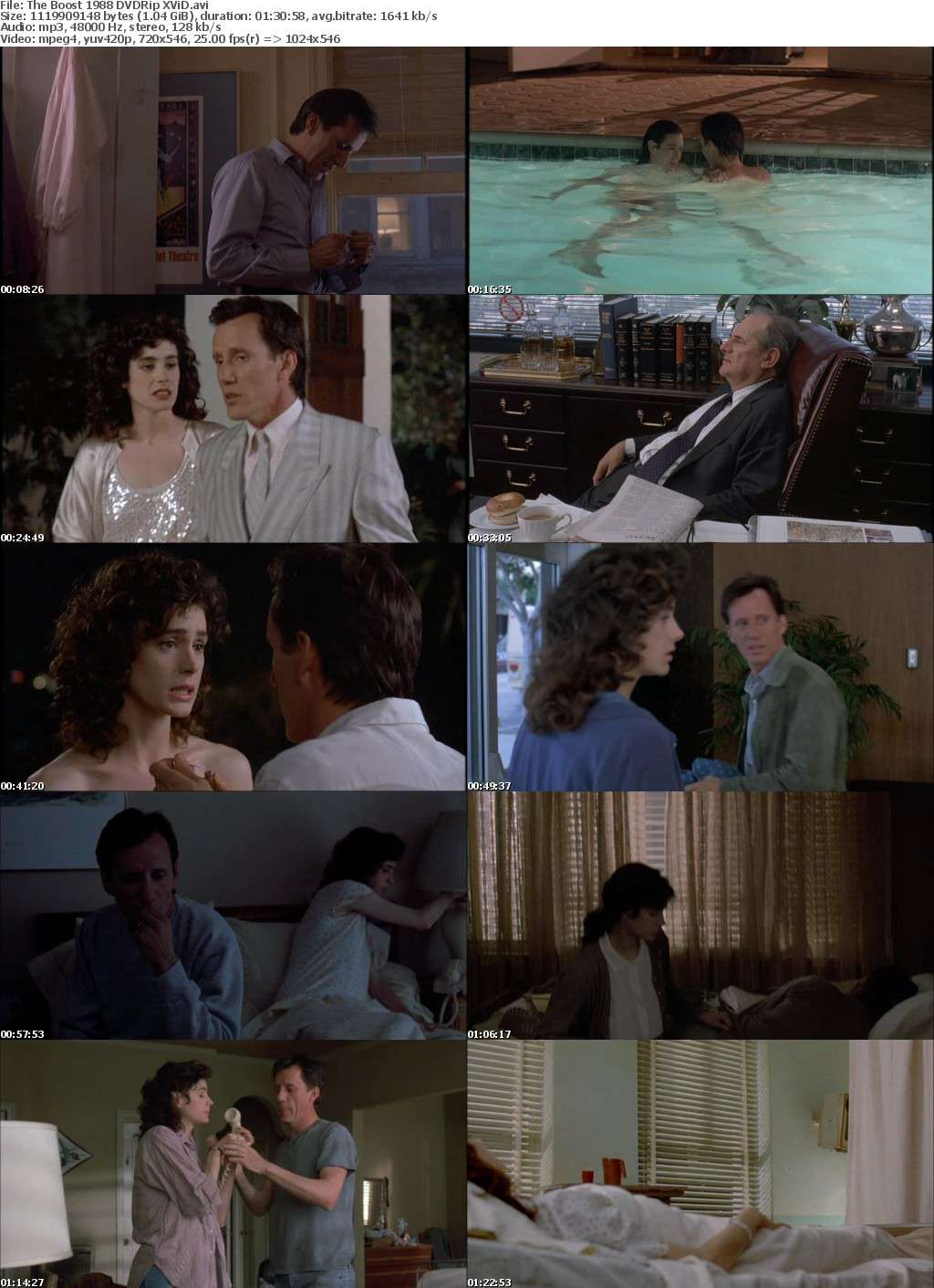 The Boost 1988 DVDRip XViD The Boost 1988 DVDRip XViD