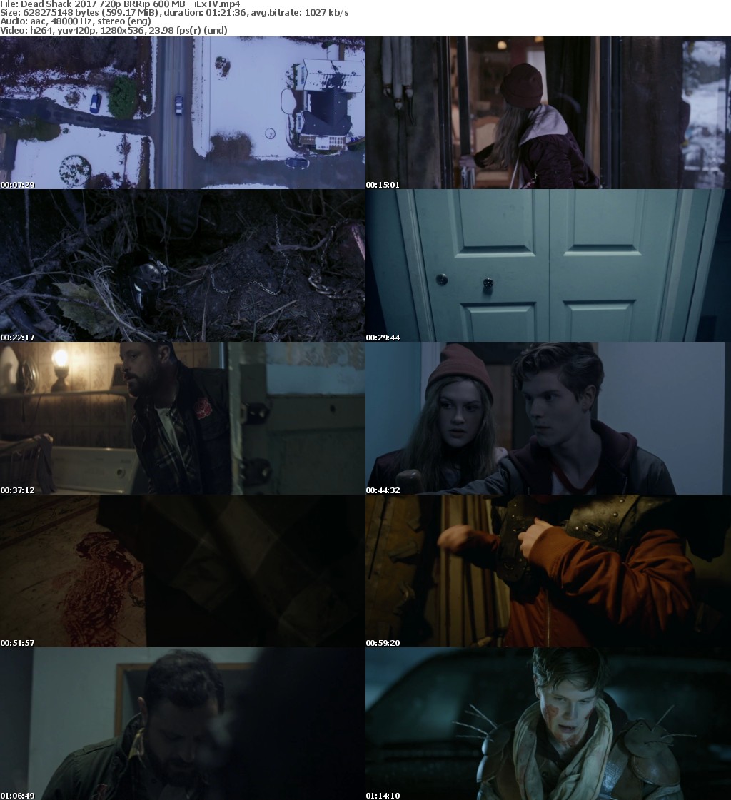 Dead Shack (2017) 720p BRRip 600 MB - iExTV