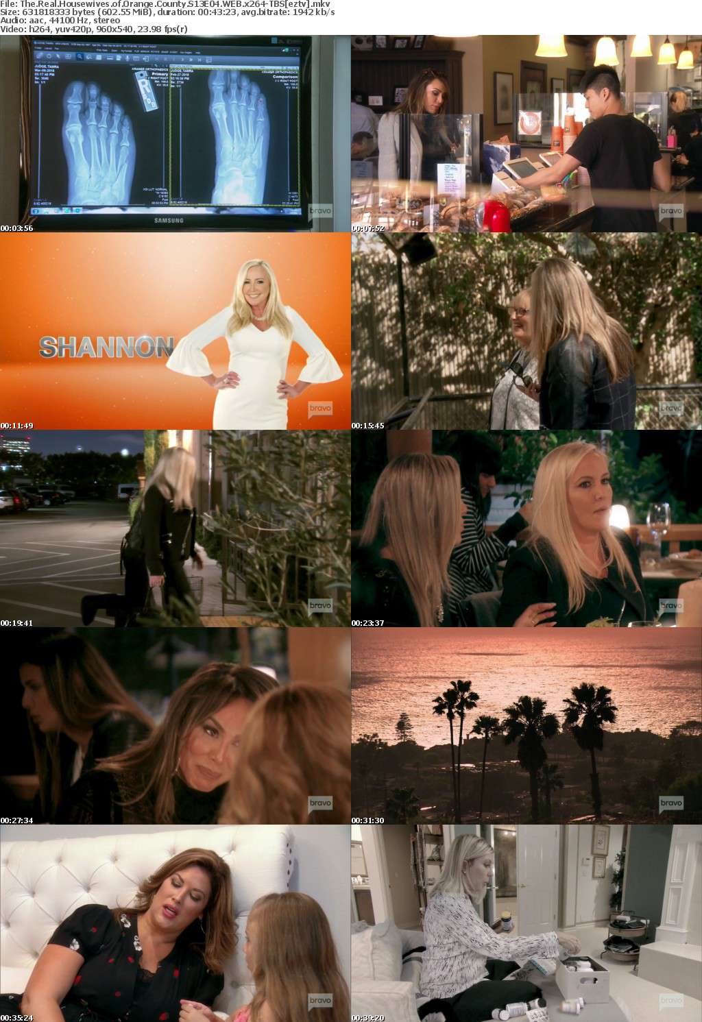 The Real Housewives of Orange County S13E04 WEB x264-TBS