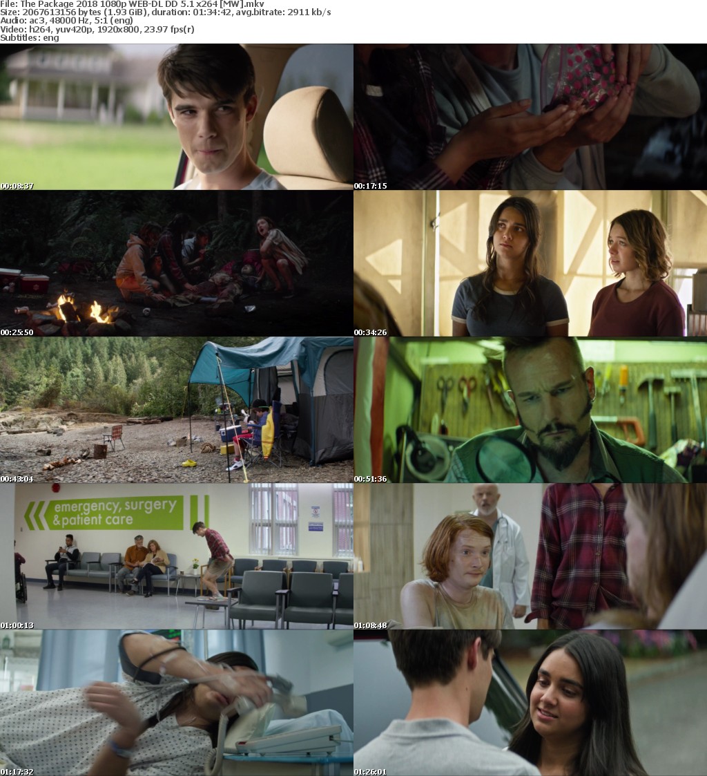 The Package (2018) 1080p WEB-DL DD 5.1 x264 MW