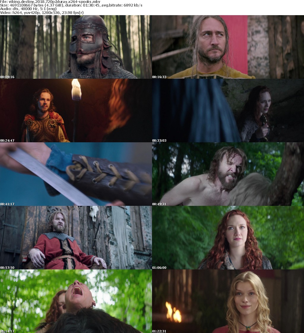 Viking Destiny (2018) 720p BluRay x264-SPOOKS