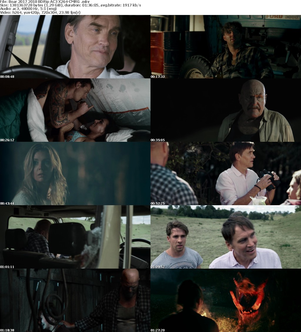 Boar (2017) (2018) BDRip AC3 X264-CMRG