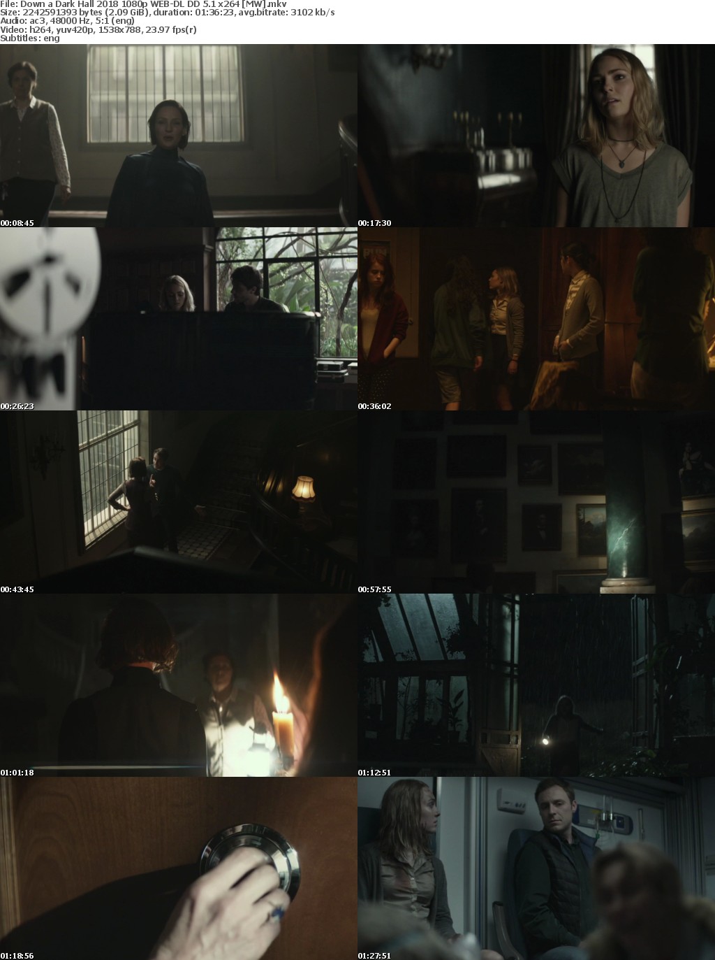 Down a Dark Hall (2018) 1080p WEB-DL DD 5.1 x264 MW