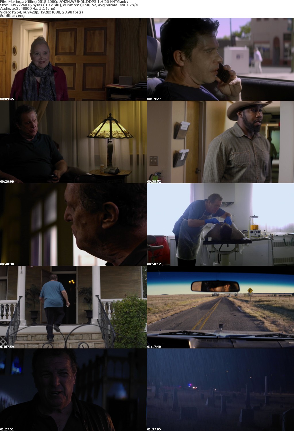 Making a Killing (2018) 1080p AMZN WEBRip DDP5.1 x264-NTG