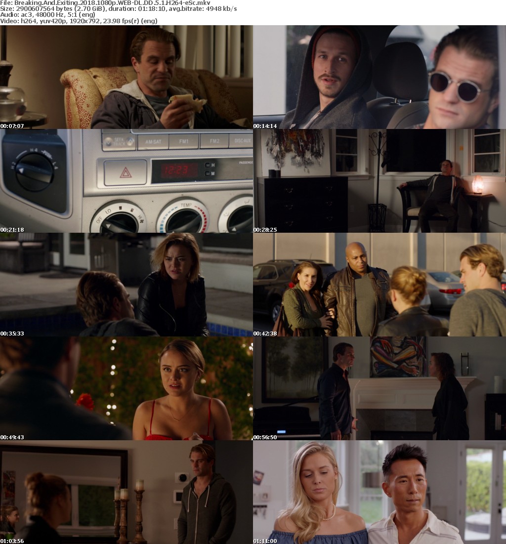 Breaking And Exiting (2018) 1080p WEB-DL DD 5.1 H264-eSc