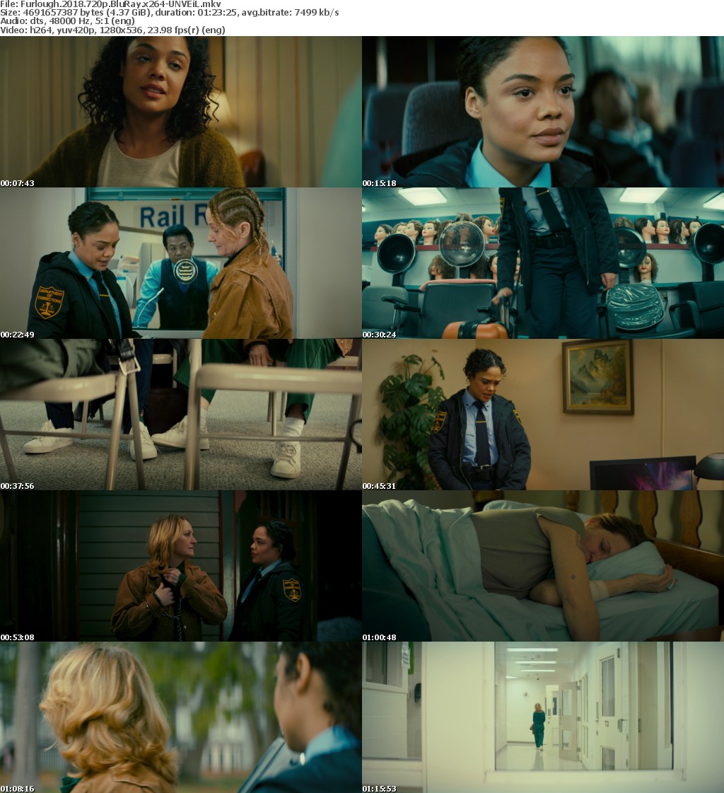 Furlough (2018) 720p BluRay x264-UNVEiL