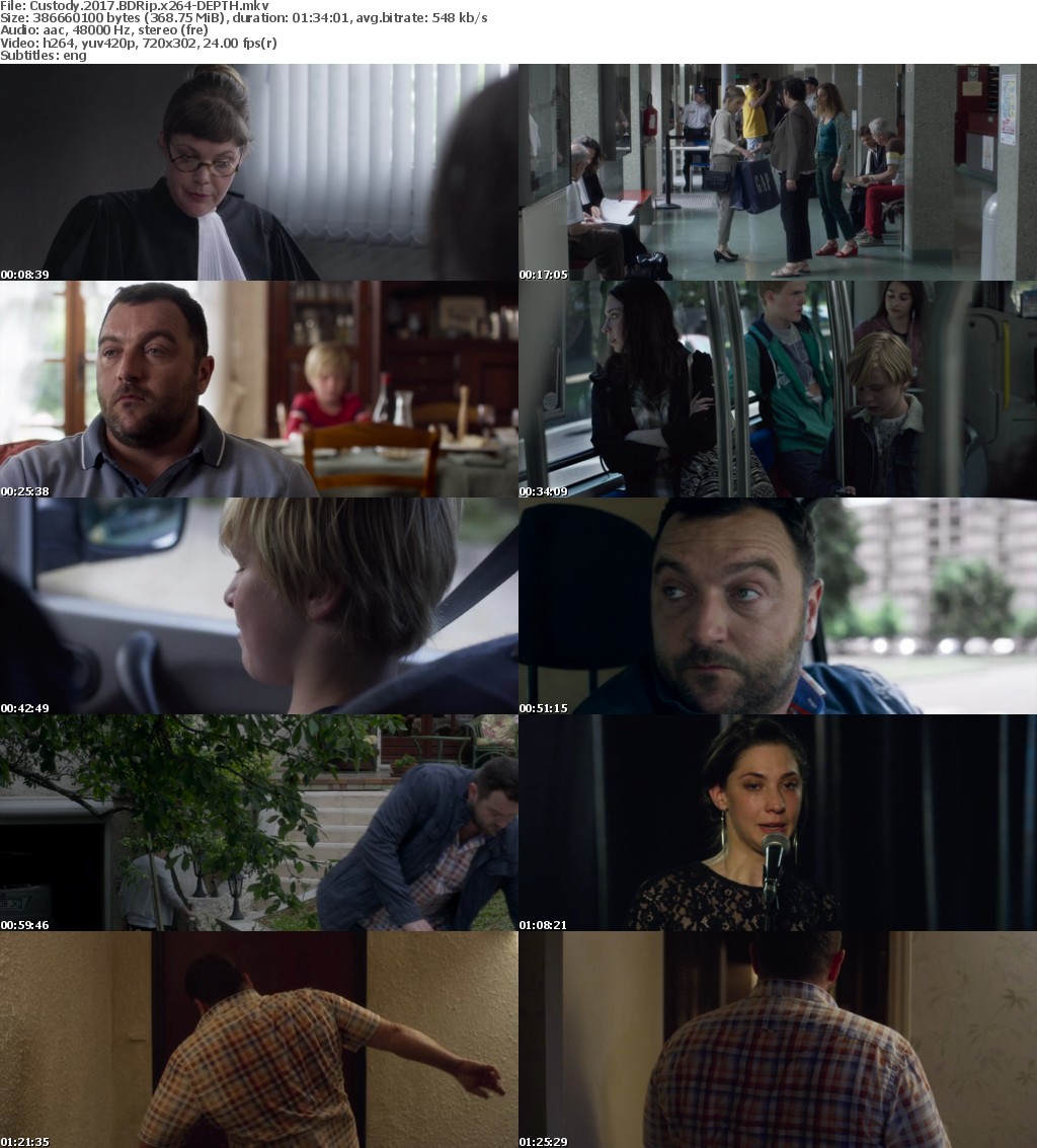 Custody (2017) BDRip x264-DEPTH