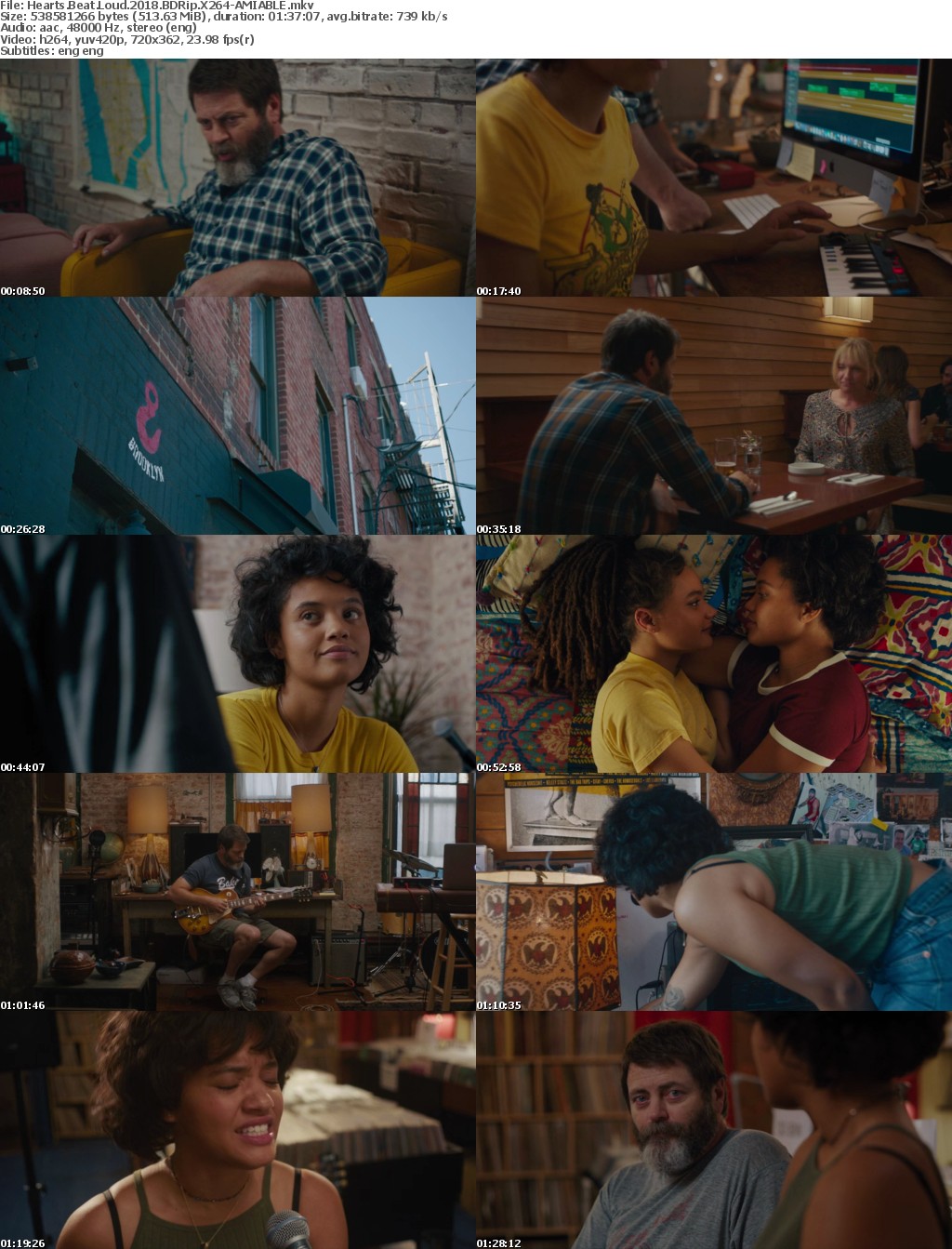 Hearts Beat Loud (2018) BDRip X264-AMIABLE