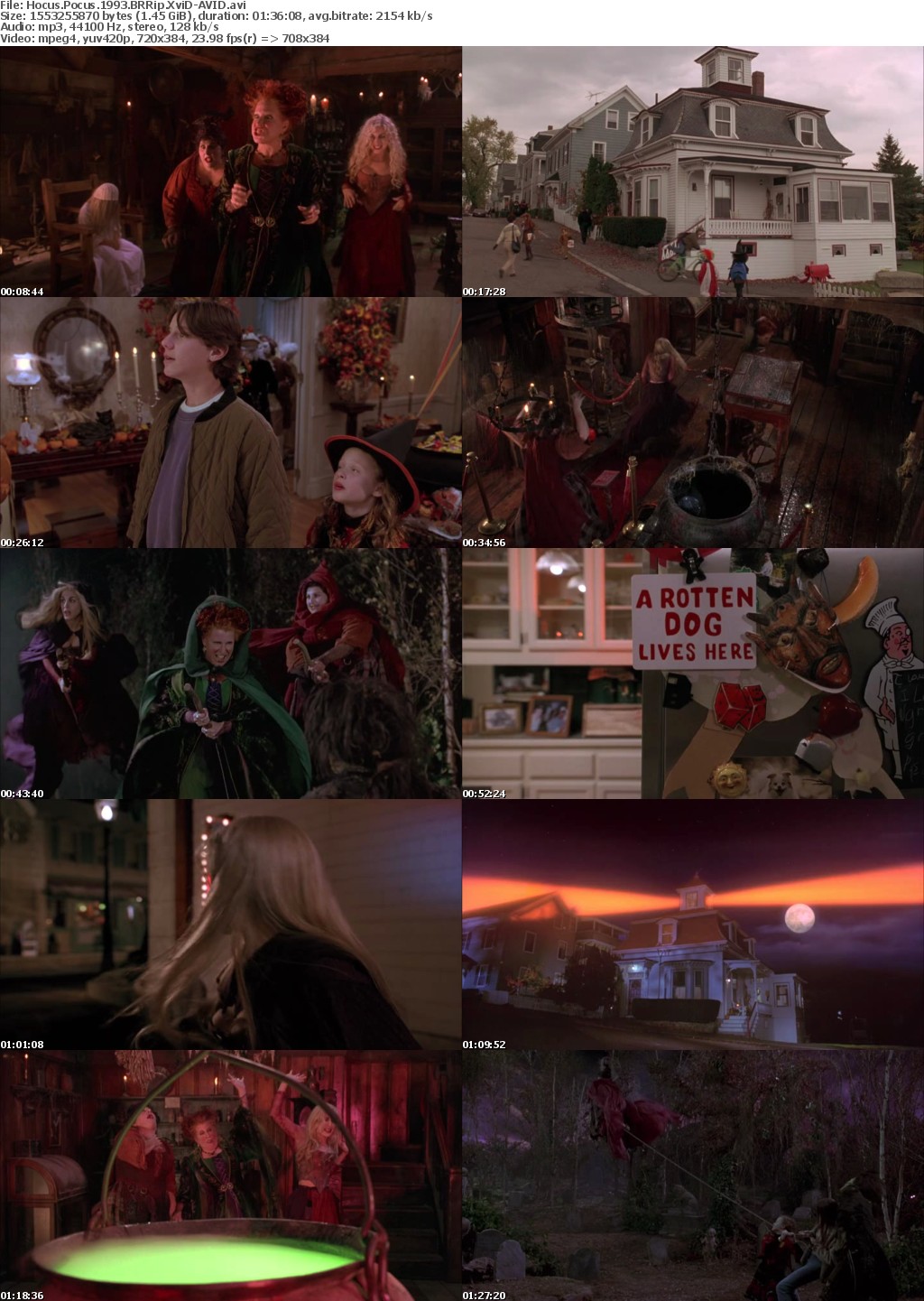 Hocus Pocus (1993) BRRip XviD-AVID