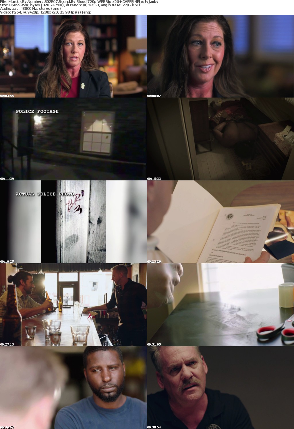 Murder By Numbers S02E07 Bound By Blood 720p WEBRip x264-CAFFEiNE