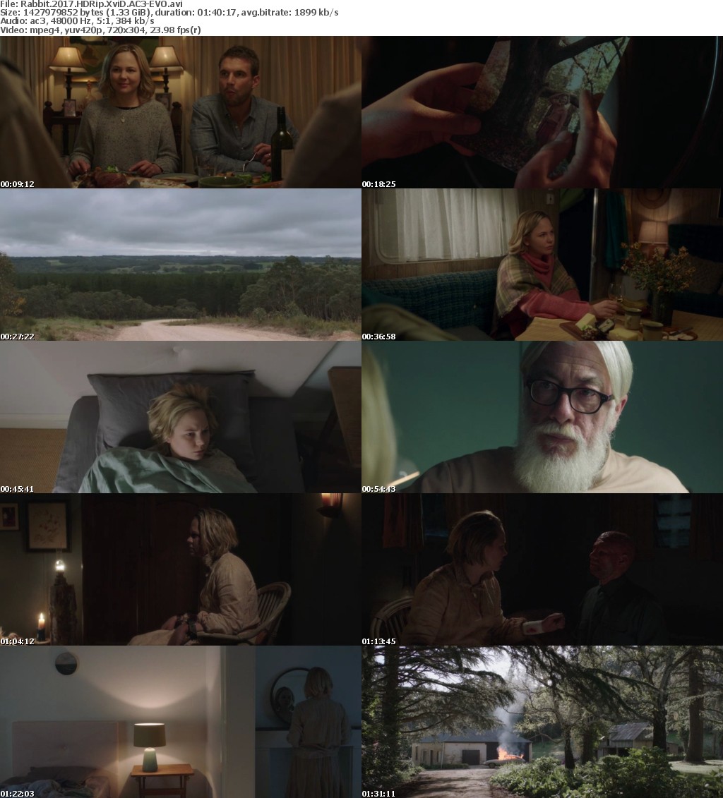 Rabbit (2017) HDRip XviD AC3-EVO