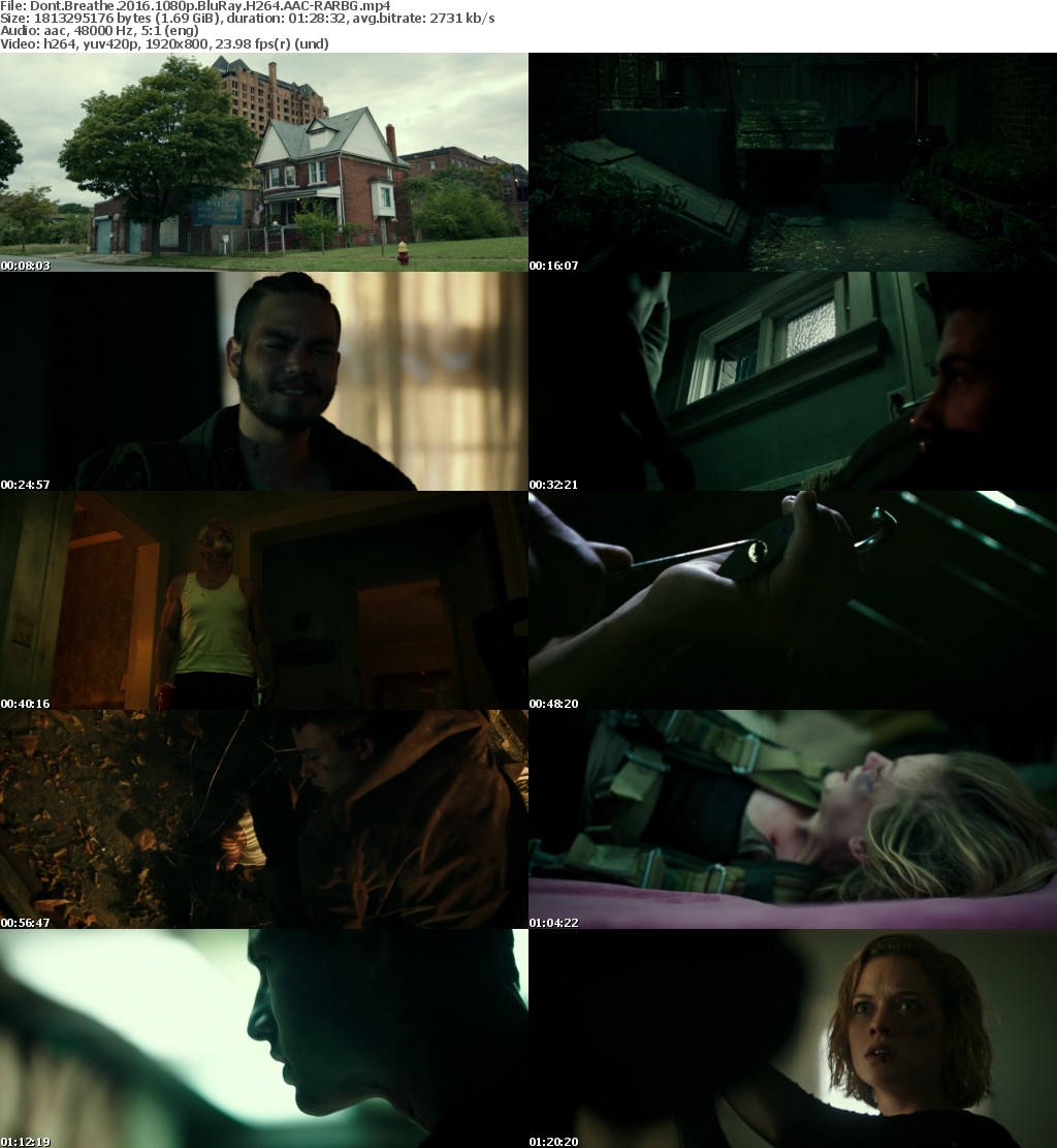 Dont Breathe (2016) 1080p BluRay H264 AAC-RARBG