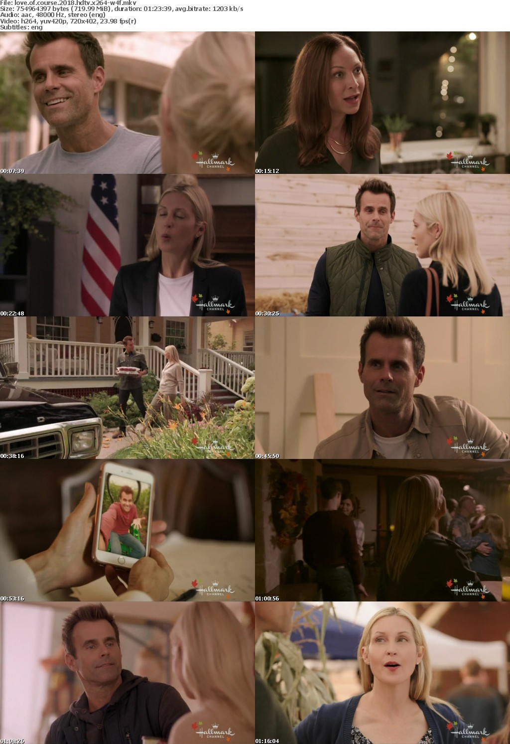 Love Of Course (2018) HDTV x264-W4F