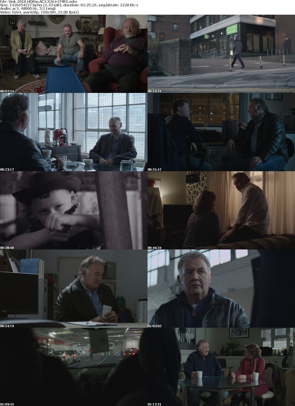 Sink (2018) HDRip AC3 X264-CMRG