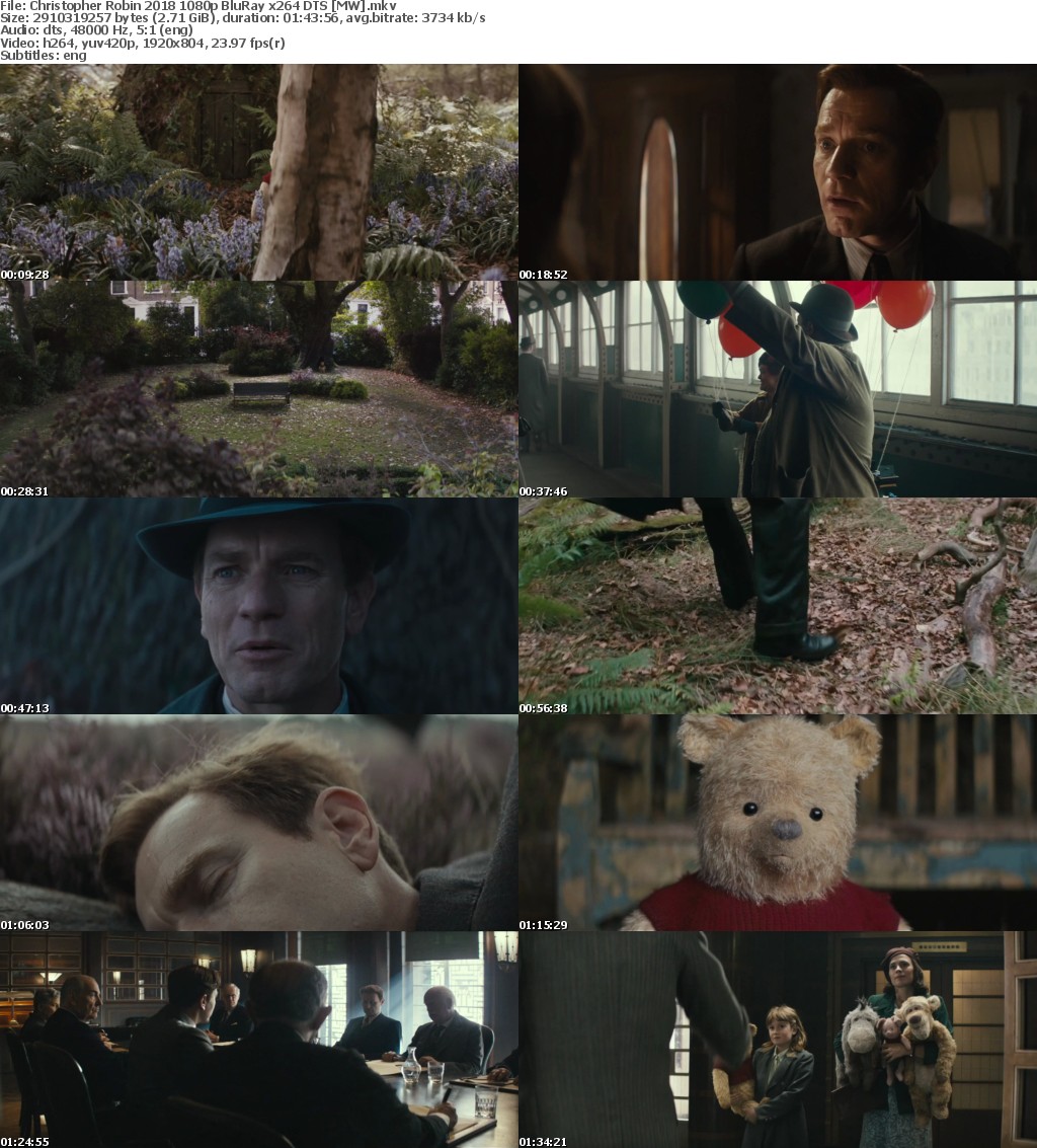 Christopher Robin (2018) 1080p BluRay x264 DTS MW