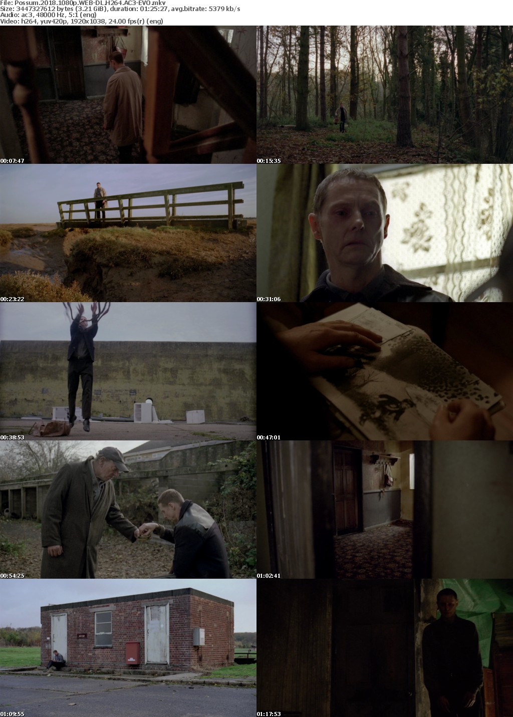 Possum (2018) 1080p WEB-DL H264 AC3-EVO