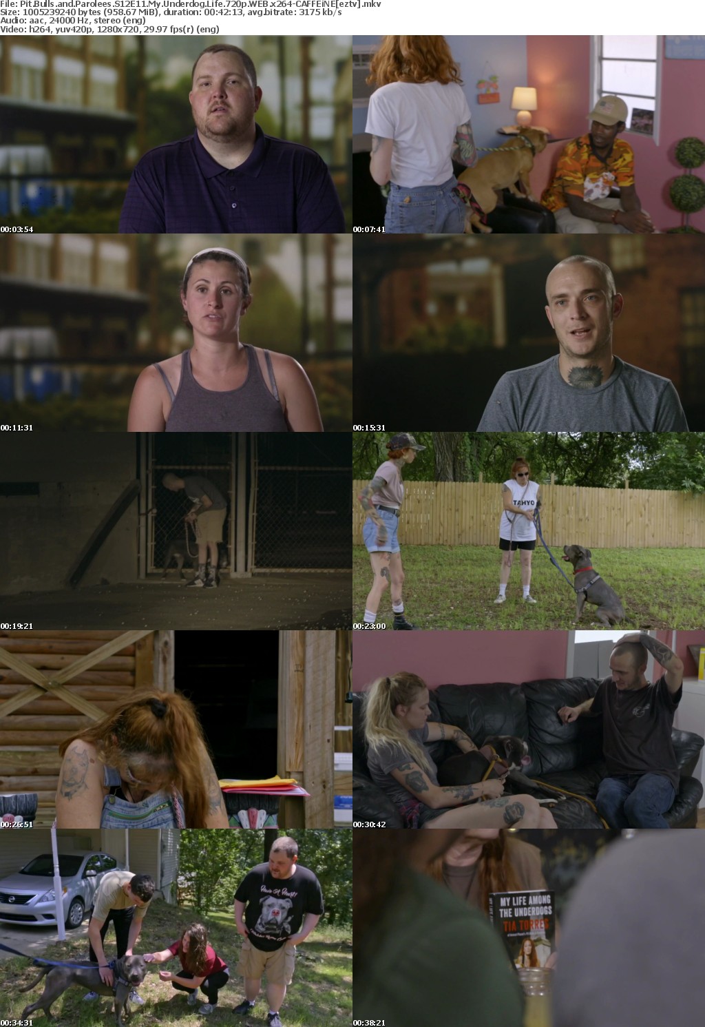 Pit Bulls and Parolees S12E11 My Underdog Life 720p WEB x264-CAFFEiNE