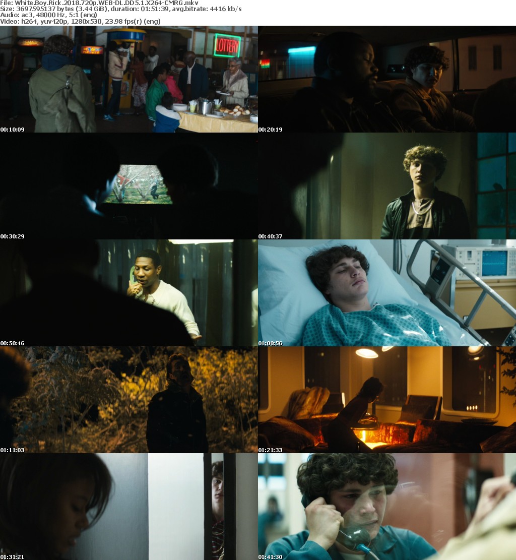 White Boy Rick (2018) 720p WEB-DL DD5.1 X264-CMRG