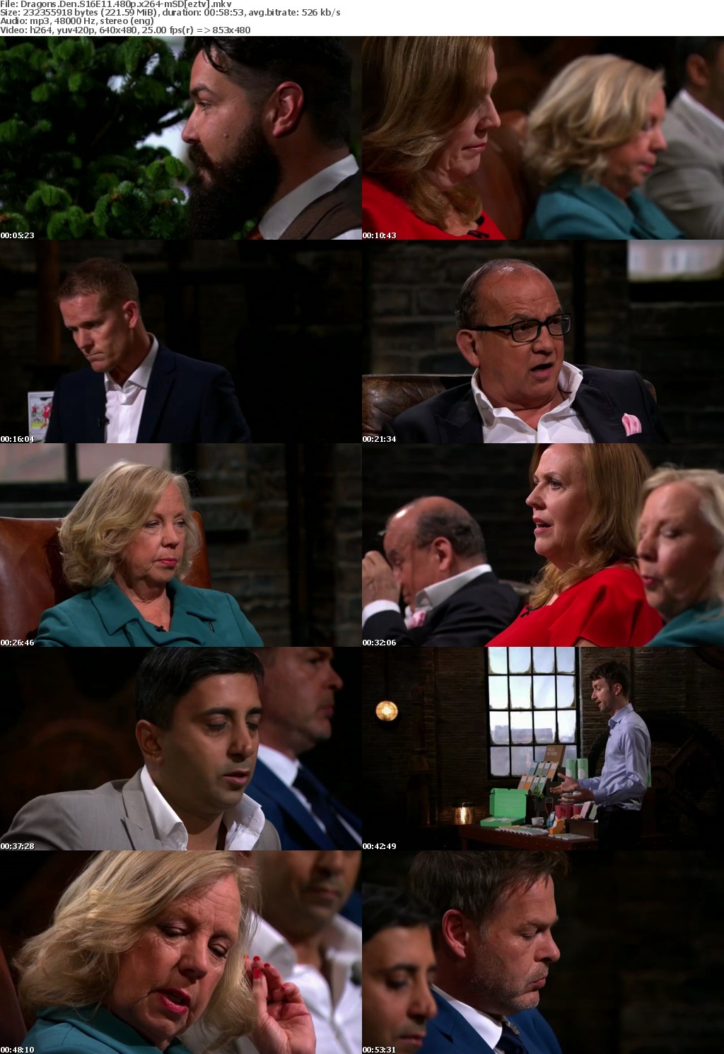 Dragons Den S16E11 480p x264-mSD