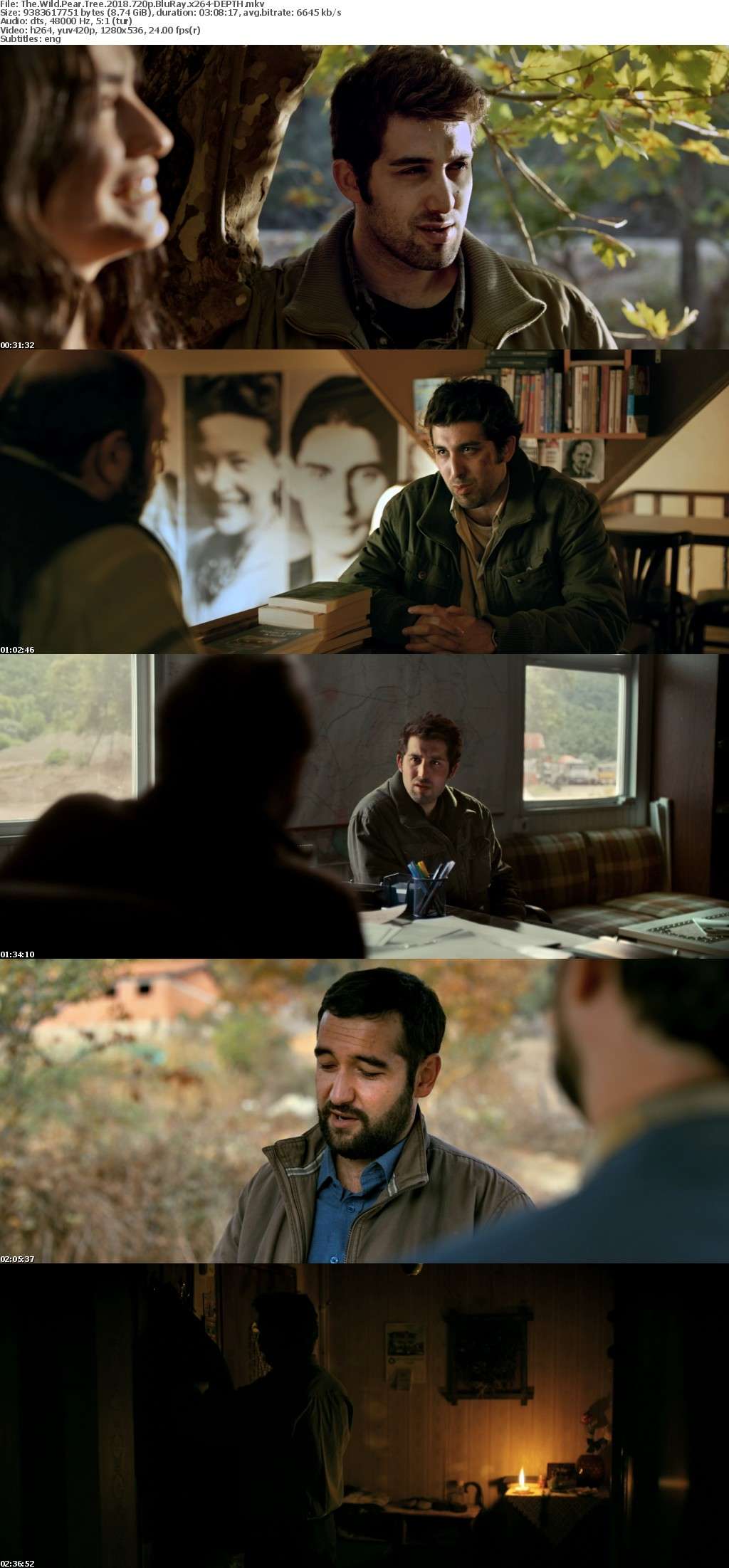 The Wild Pear Tree 2018 720p BluRay x264-DEPTH The Wild Pear Tree 2018 720p BluRay x264-DEPTH