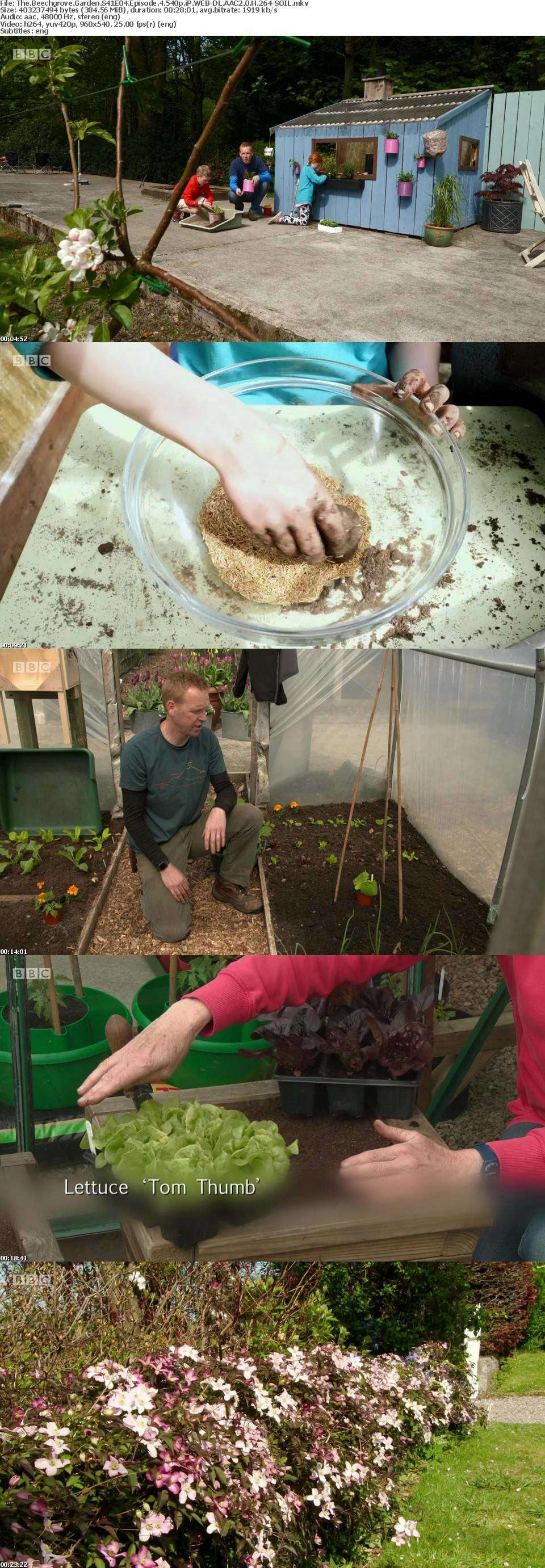 The Beechgrove Garden S41E04 Episode 4 540p iP WEB-DL AAC2 0 H 264-SOIL The Beechgrove Garden S41E04 Episode 4 540p iP WEB-DL AAC2 0 H 264-SOIL