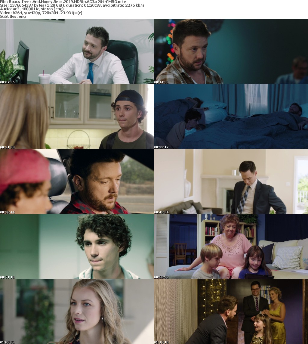 Roads Trees And Honey Bees (2019) HDRip AC3 x264-CMRG