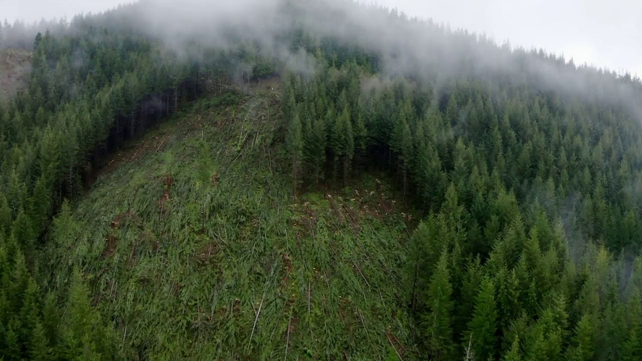 Ax Men S10E10 720p WEB h264-TRUMP Ax Men S10E10 720p WEB h264-TRUMP