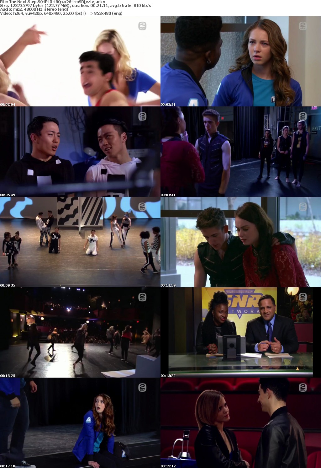 The Next Step S04E40 480p x264-mSD The Next Step S04E40 480p x264-mSD